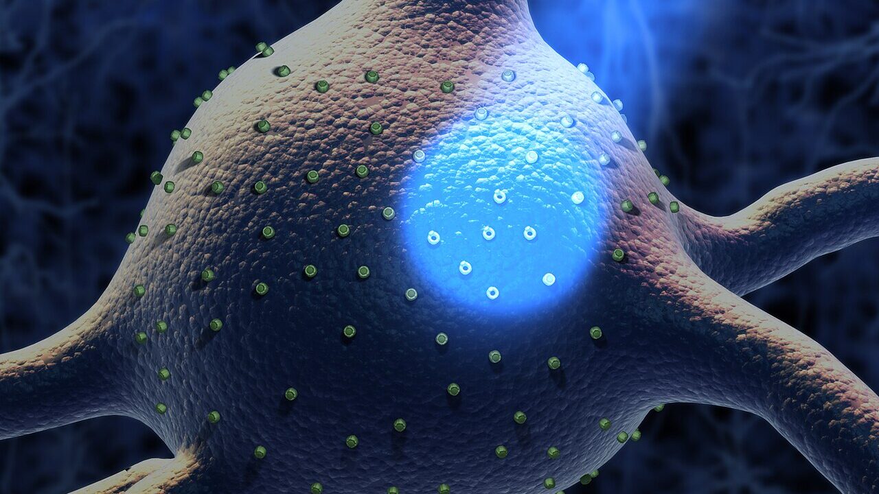 Optogenetics research image: neurons engineered to respond to light