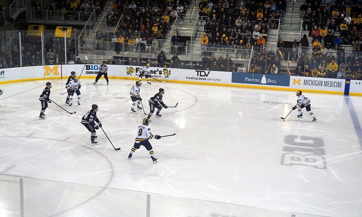 Ice hockey players in action on the rink